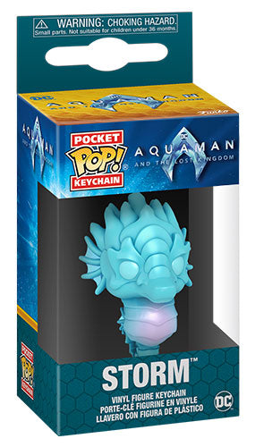 FUNKO KEY Aquaman and The Lost Kingdom Storm