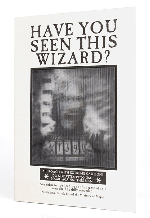 Agenda Lenticolare Harry Potter Have You Seen This Wizard?