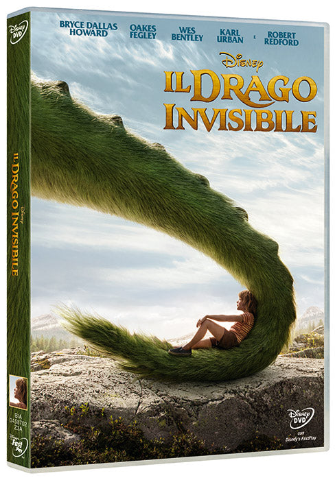 Il Drago Invisibile